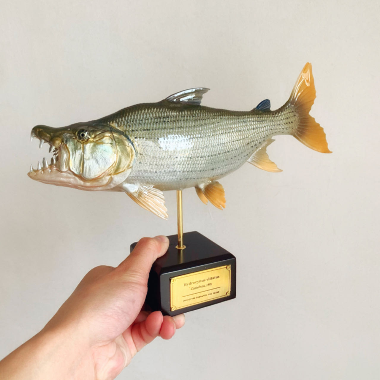 歌利亞虎魚陳列雕塑