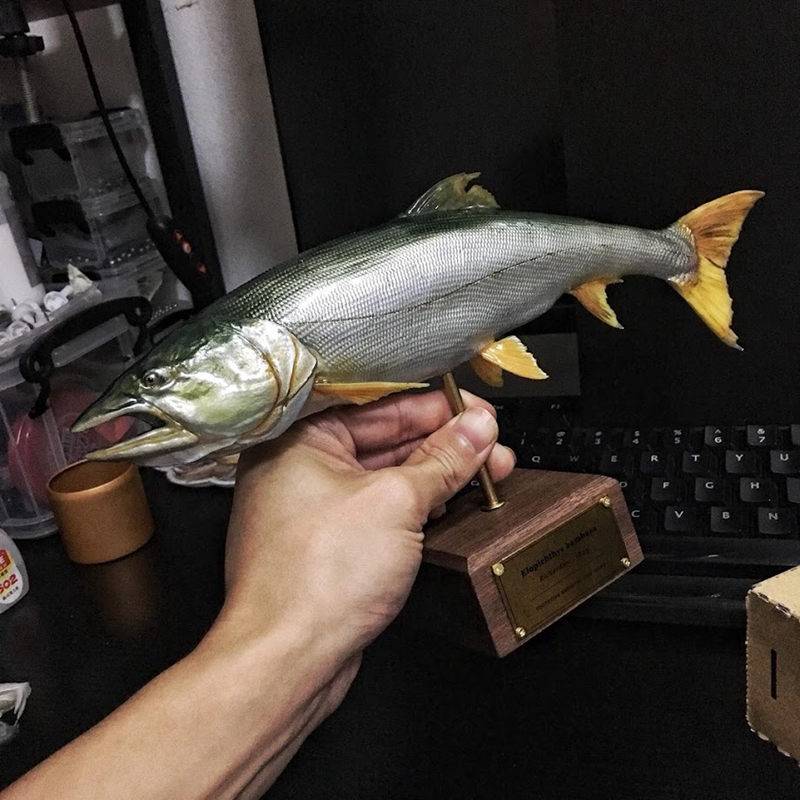 第二版鱤魚原型製作完成