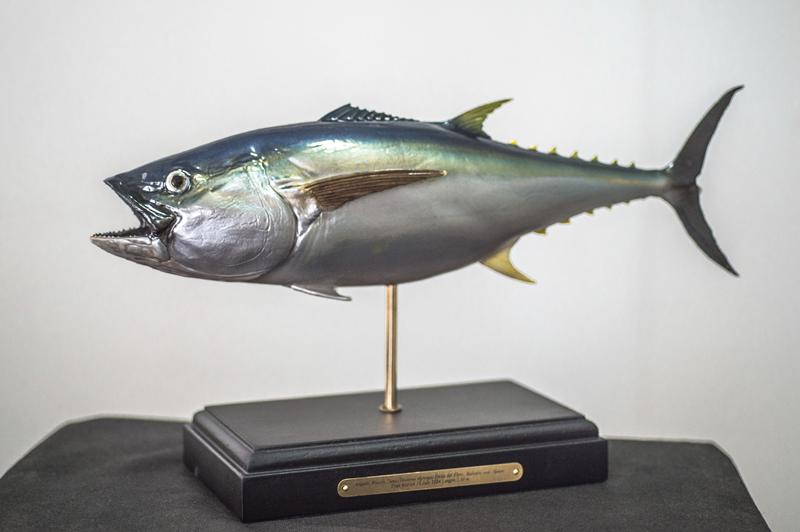 藍鰭金槍魚雕塑模型